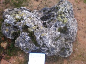 Pedra Natural - DUVITOR