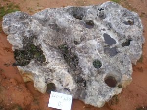 Pedra Natural - DUVITOR